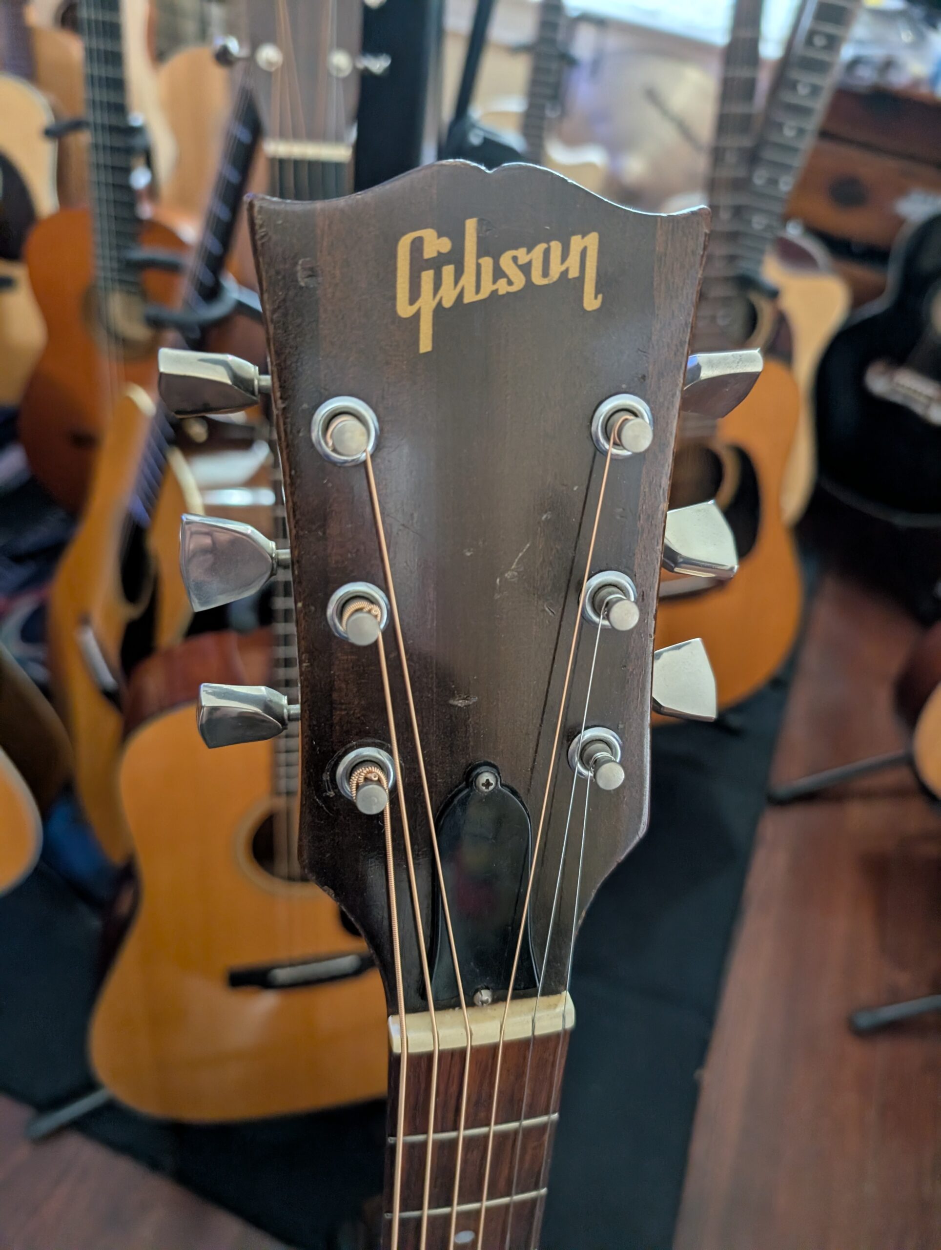 PXL_20251101_150703765