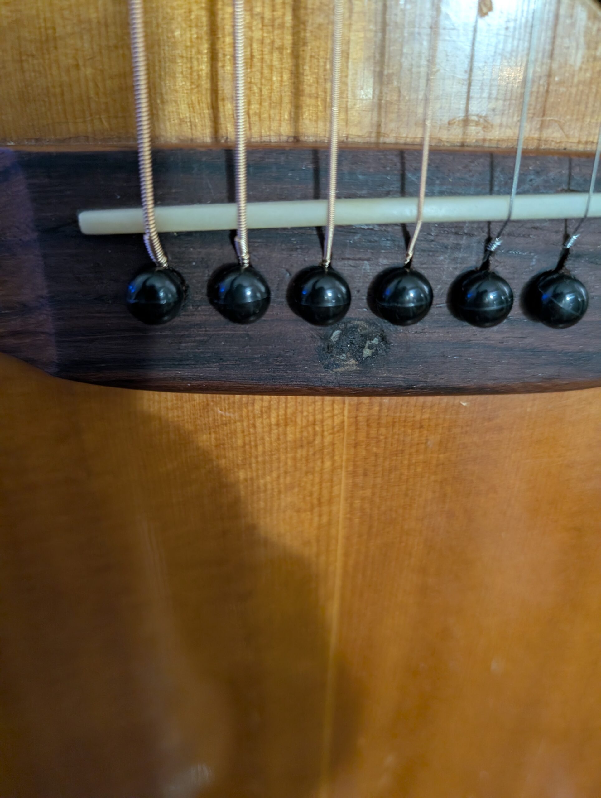 PXL_20251101_150853601.MP