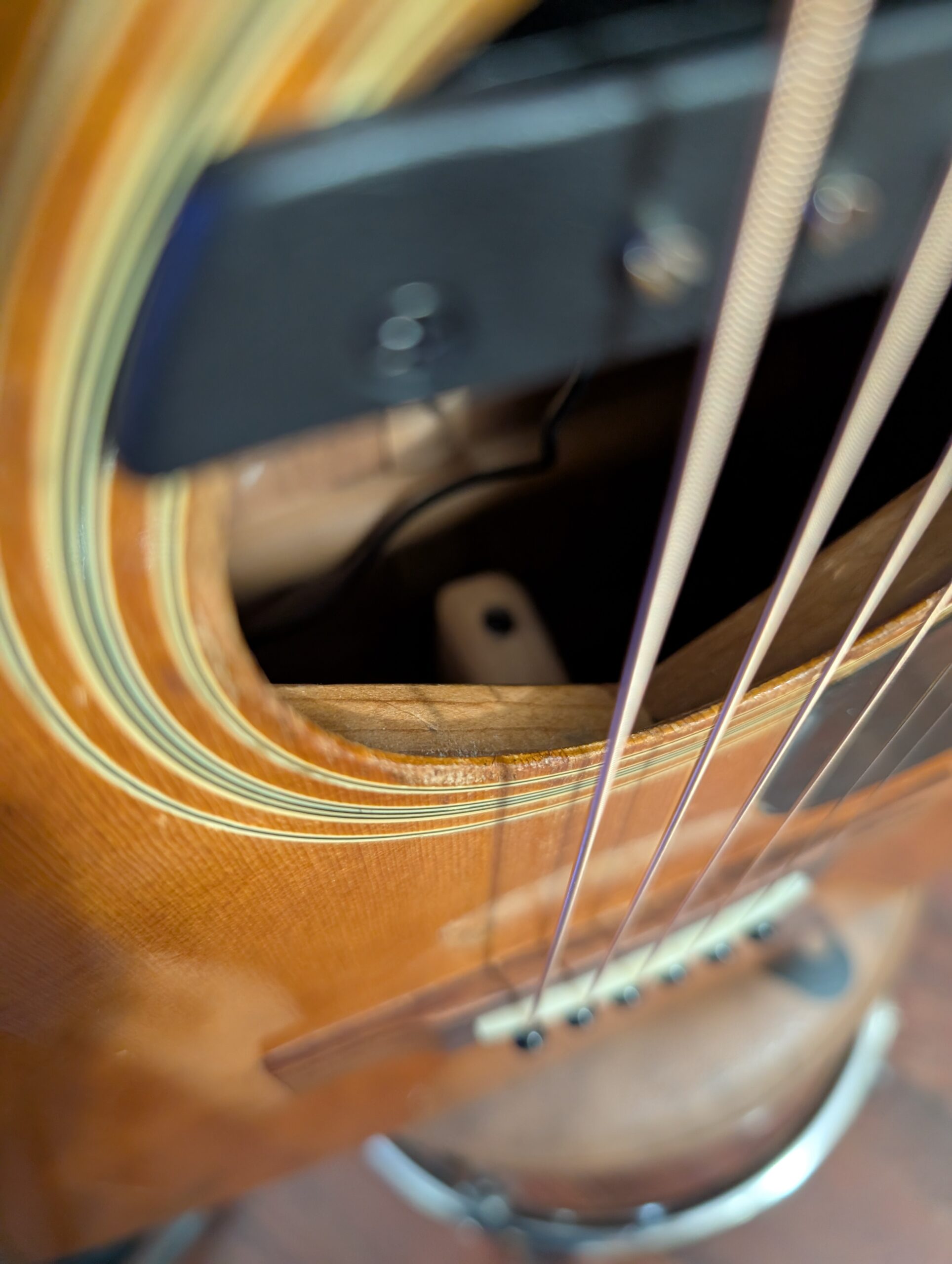 PXL_20251101_150856908