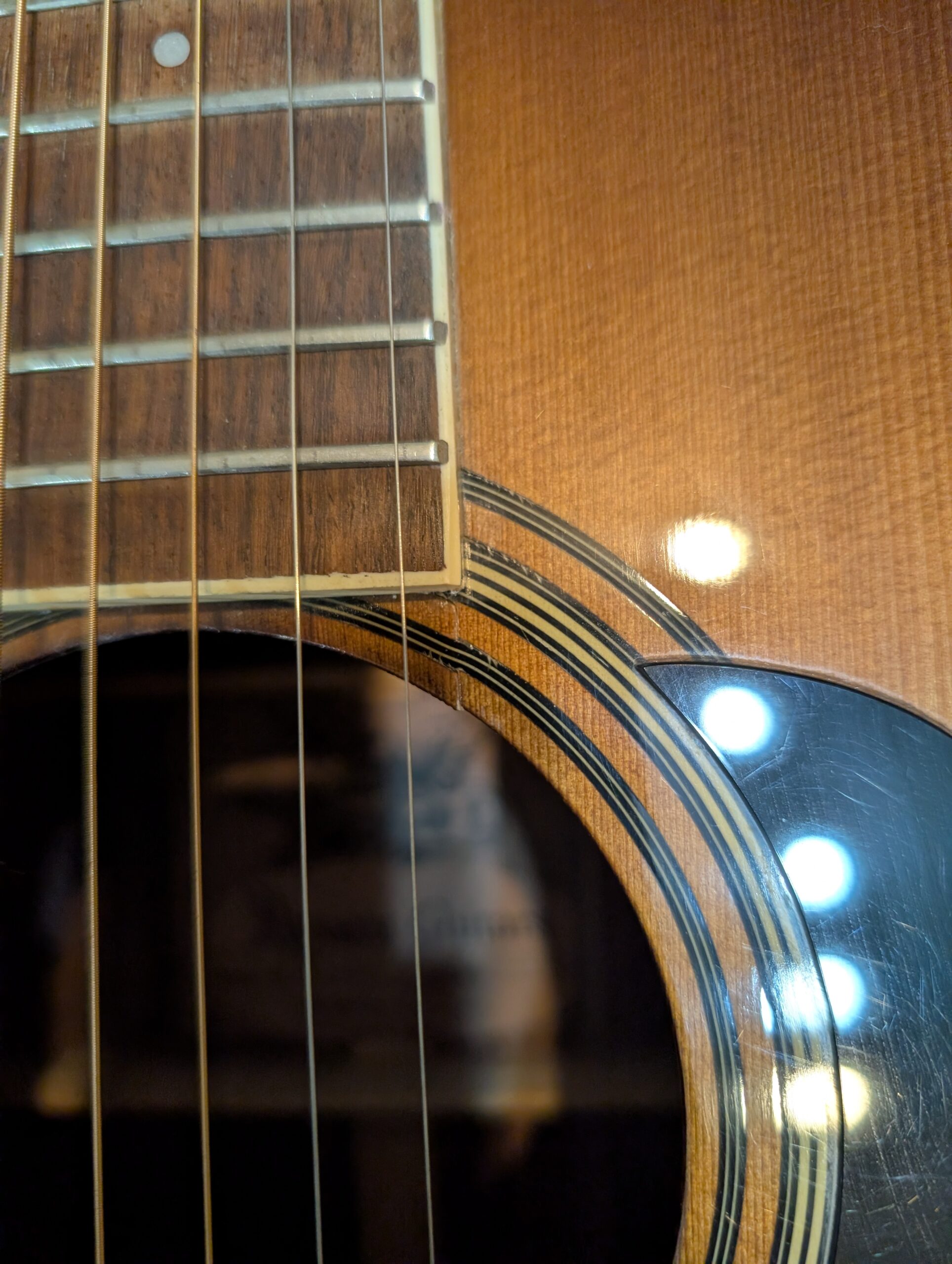 PXL_20251103_213114480.MP