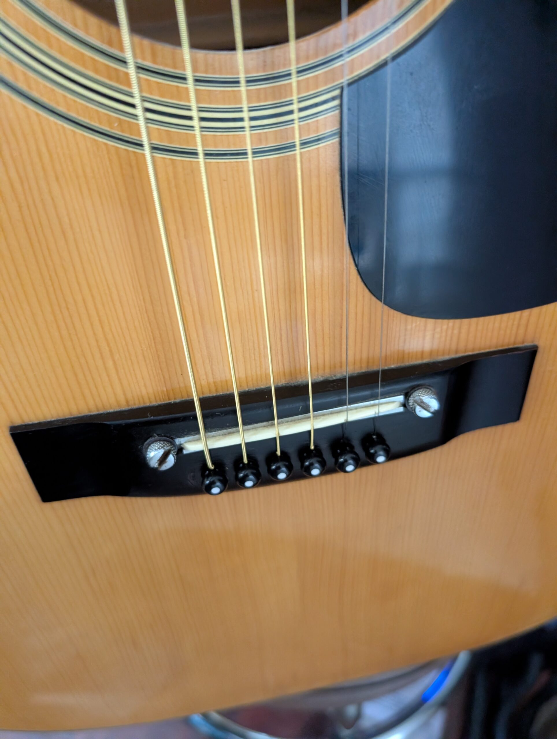 PXL_20251109_163229733