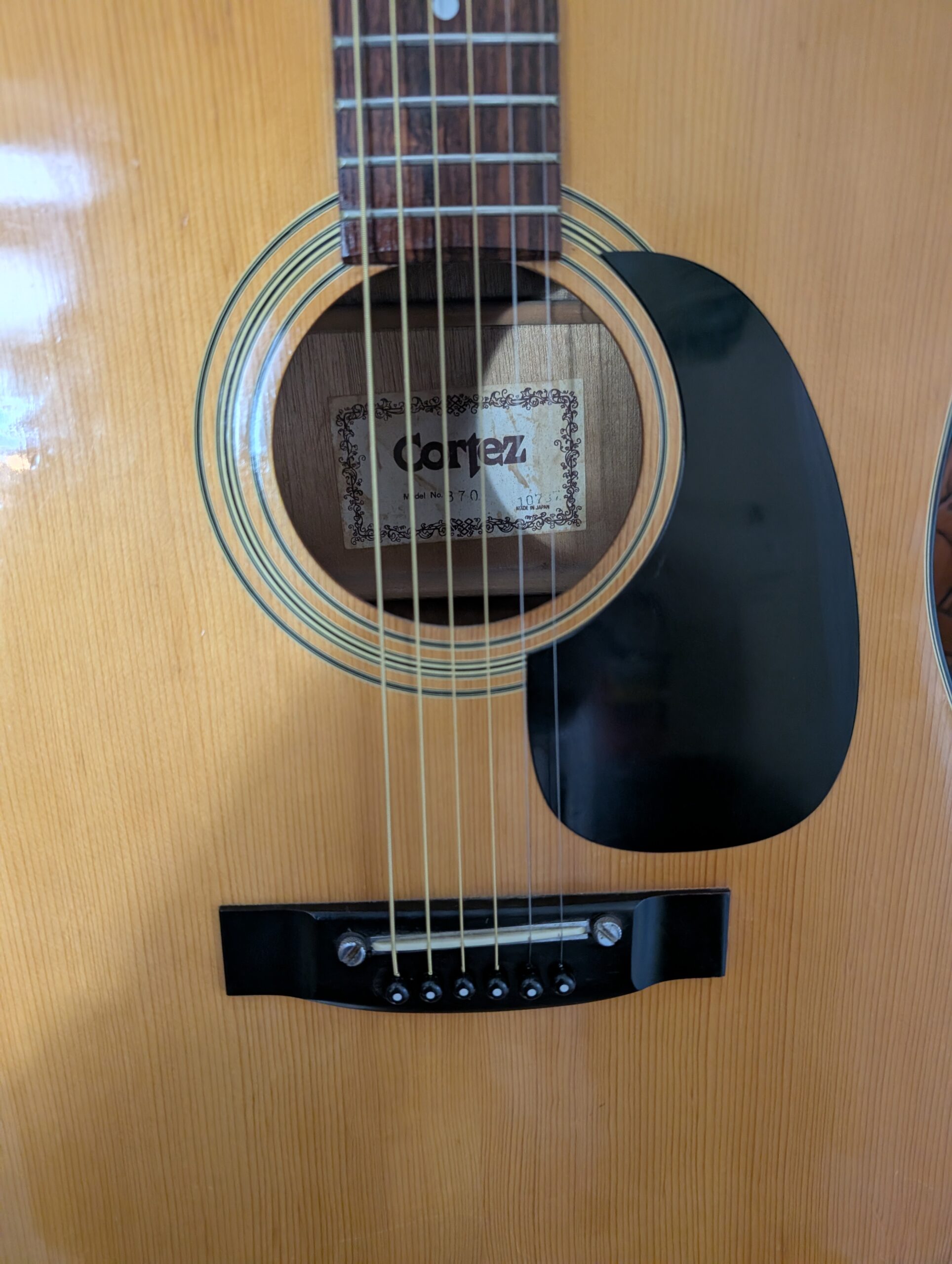 PXL_20251109_163251072.MP