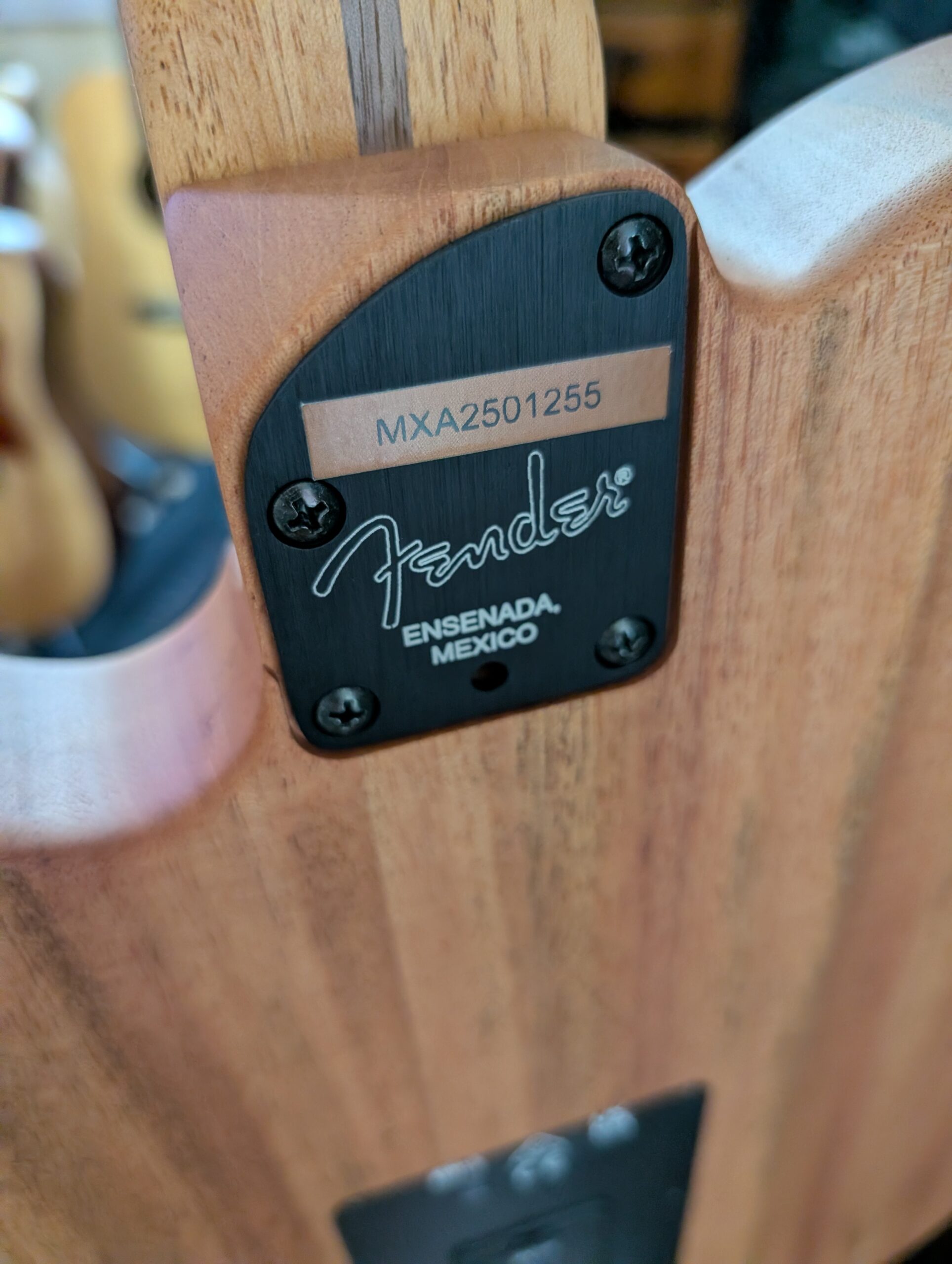 PXL_20251110_174315625