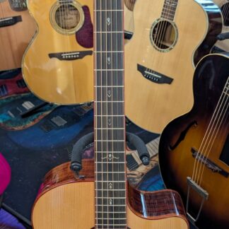 Cort Gold-A10 Cocobolo Grand Auditorium Acoustic/Electric Guitar