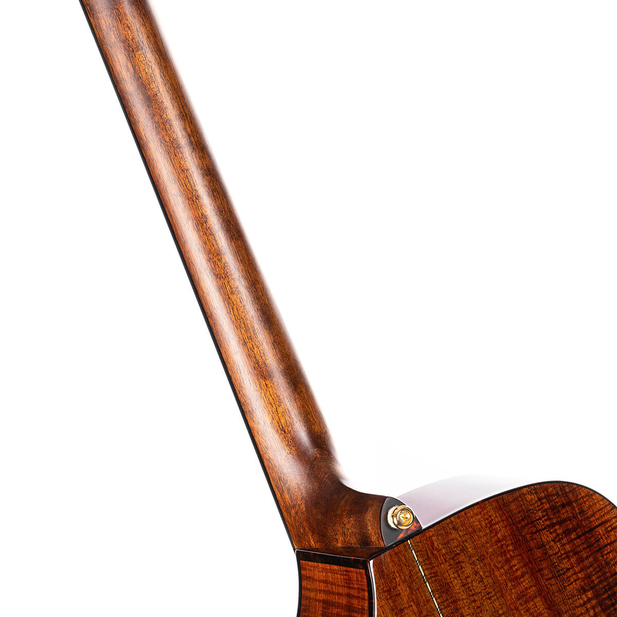 cort-frank-gambale-luxe-ii-acoustic-guitar-gal-11