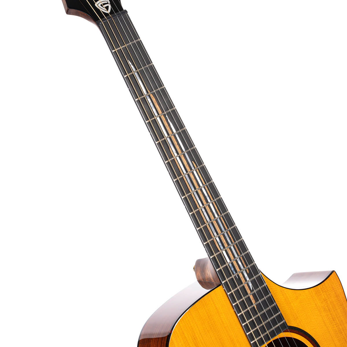 cort-frank-gambale-luxe-ii-acoustic-guitar-gal-6
