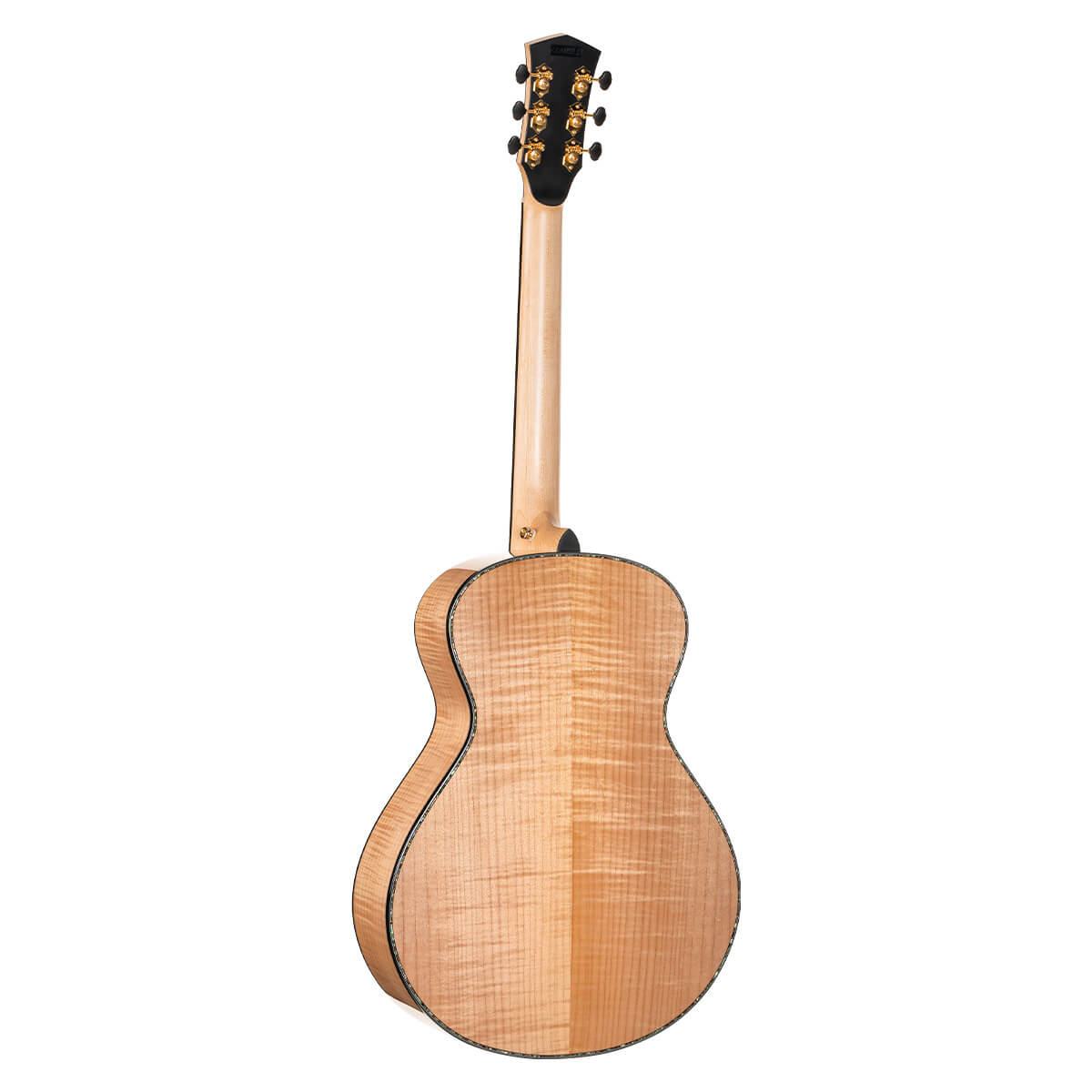 cort-gold-gold-passion-acoustic-electric-guitar-gal-2