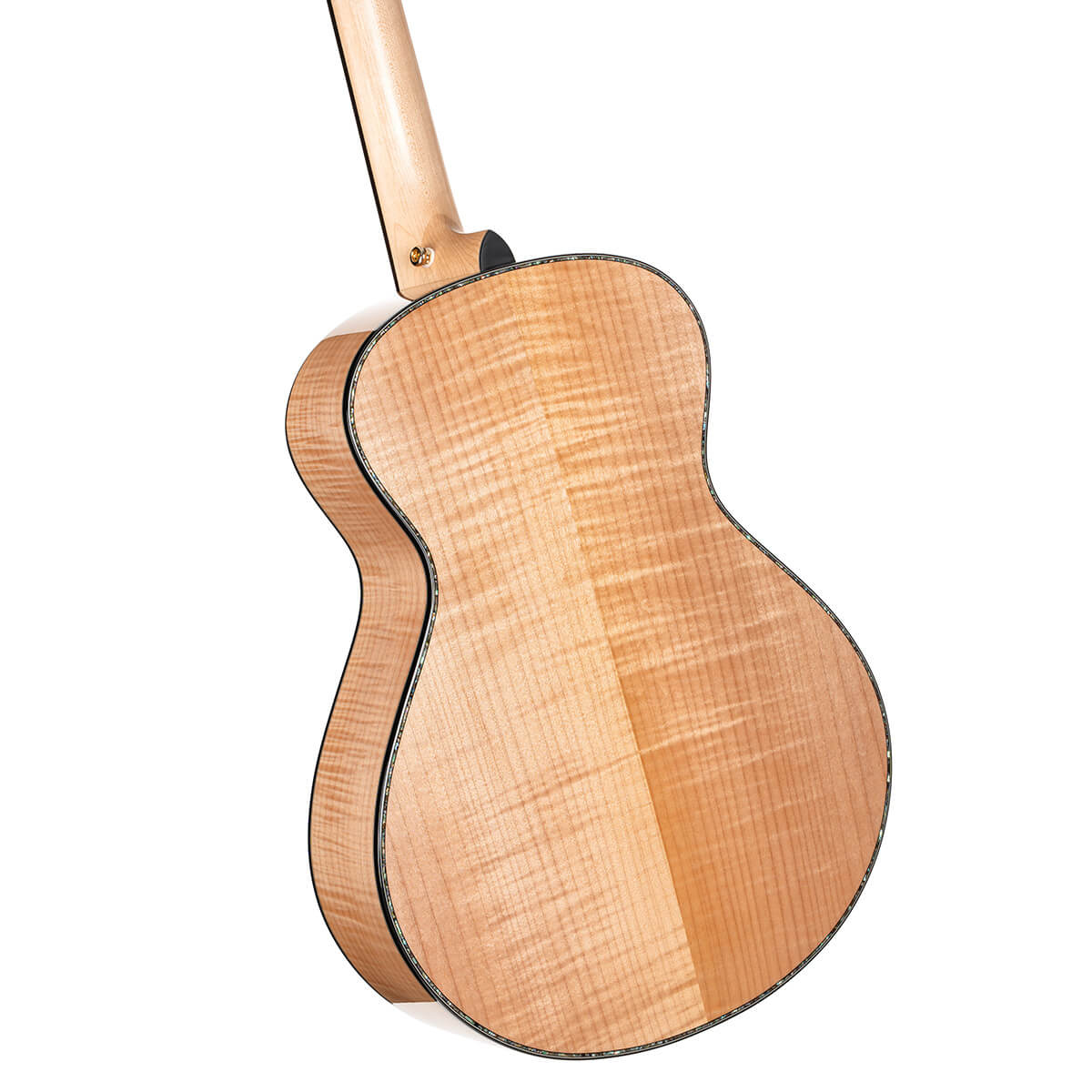 cort-gold-gold-passion-acoustic-electric-guitar-gal-6