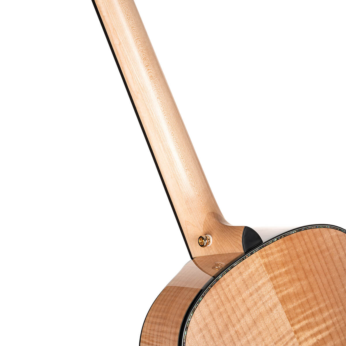 cort-gold-gold-passion-acoustic-electric-guitar-gal-9