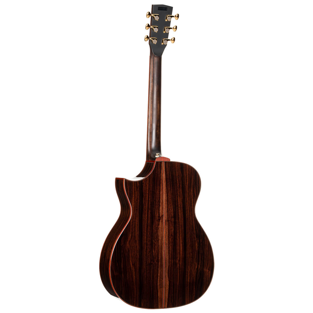 cort-masterpiece-roselyn-redux-acoustic-electric-guitar-gal-2