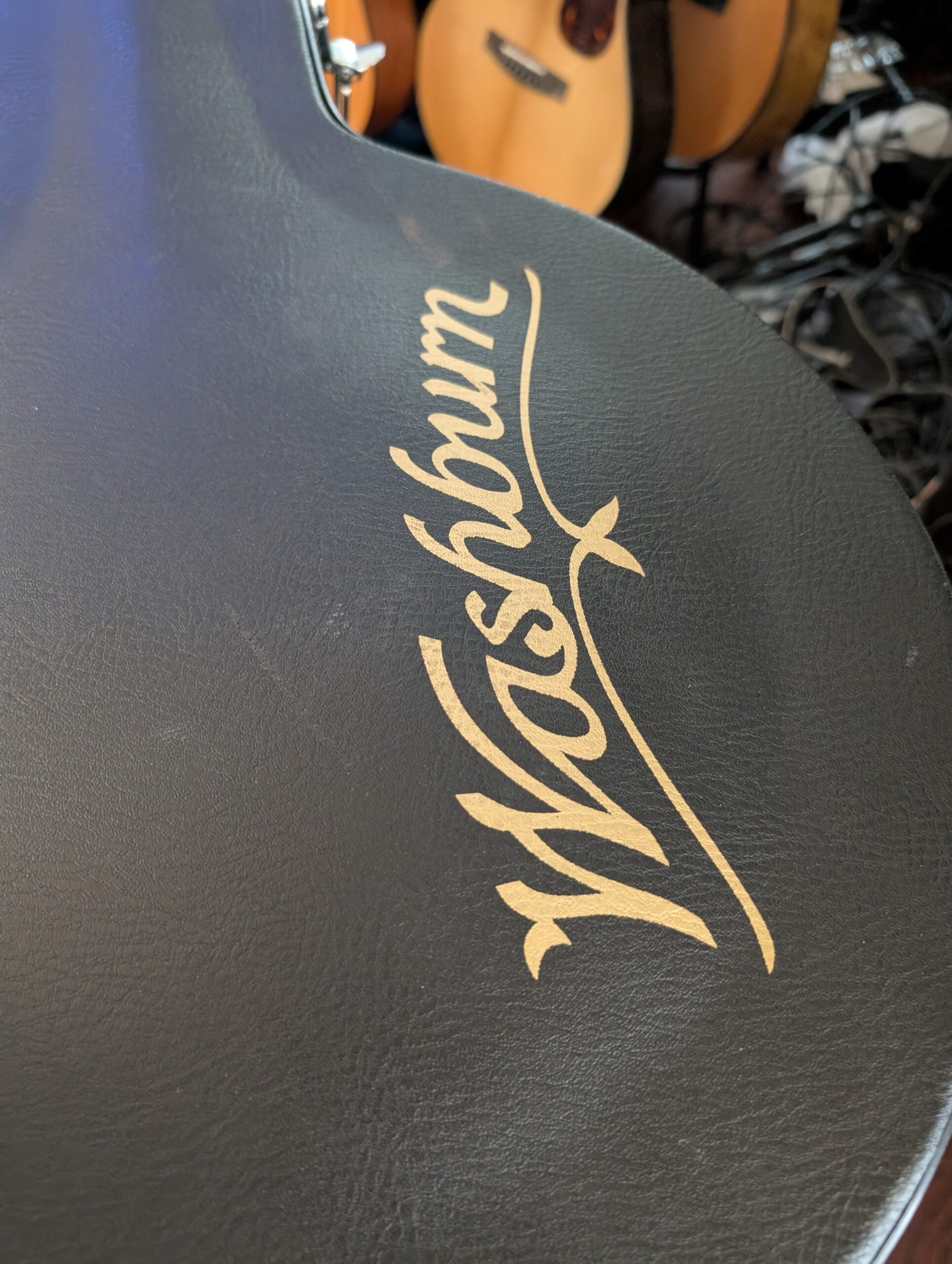 Washburn B16 Five String Banjo Sunburst with Case - Image 3