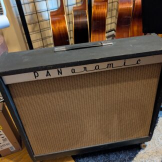 Panoramic 1210- 2x10 Combo Tube Amp 1966