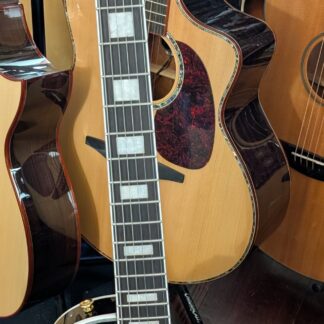 Chill Cat Limited Custom F-Holes Cobra Burst Electric Guitar