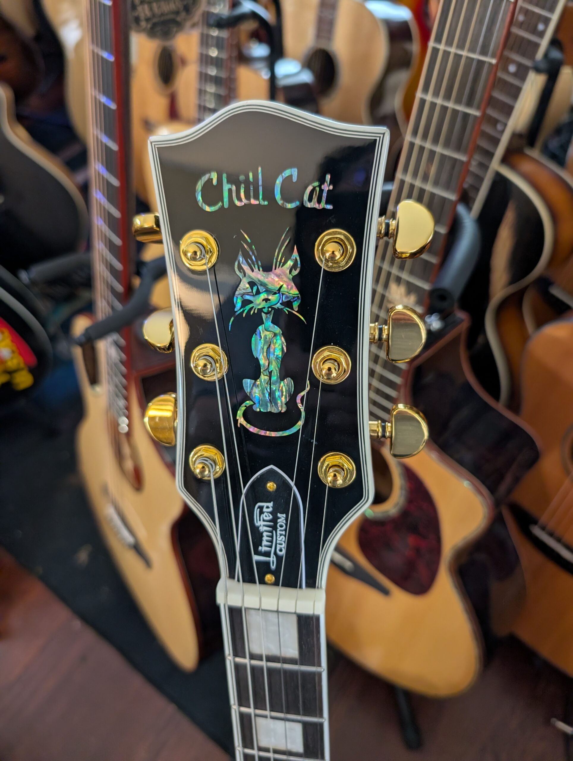 Chill Cat Limited Custom F-Holes Cobra Burst Electric Guitar - Image 2