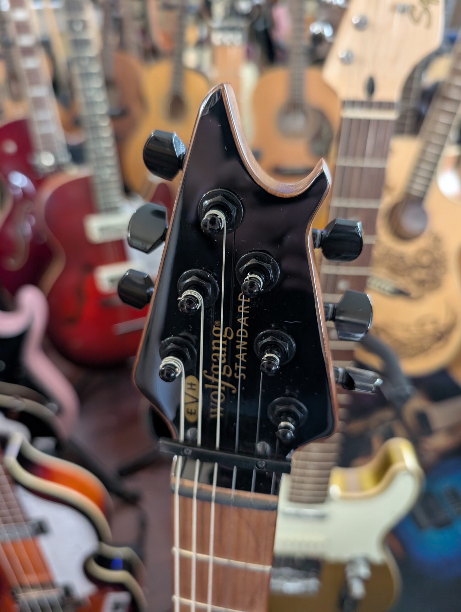 EVH Wolfgang Standard T.O.M Electric Guitar - Image 2